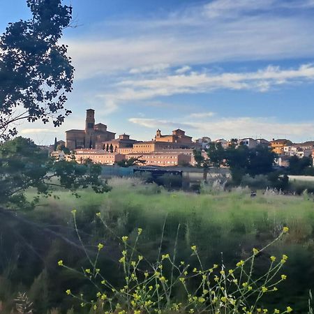 Apartamento Rural Isla Esencia De Bardenas Navarra Villafranca المظهر الخارجي الصورة