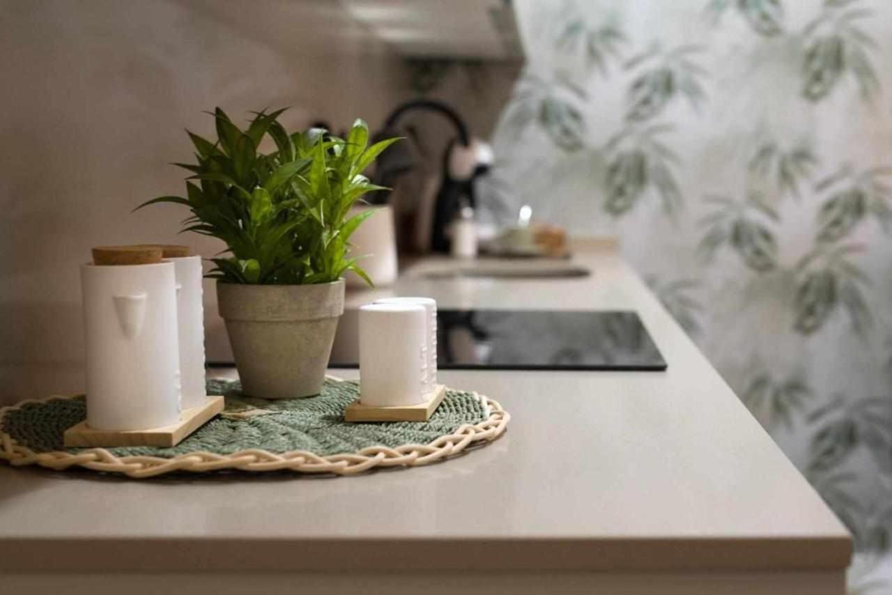 Apartamento Rural Isla Esencia De Bardenas Navarra Villafranca المظهر الخارجي الصورة