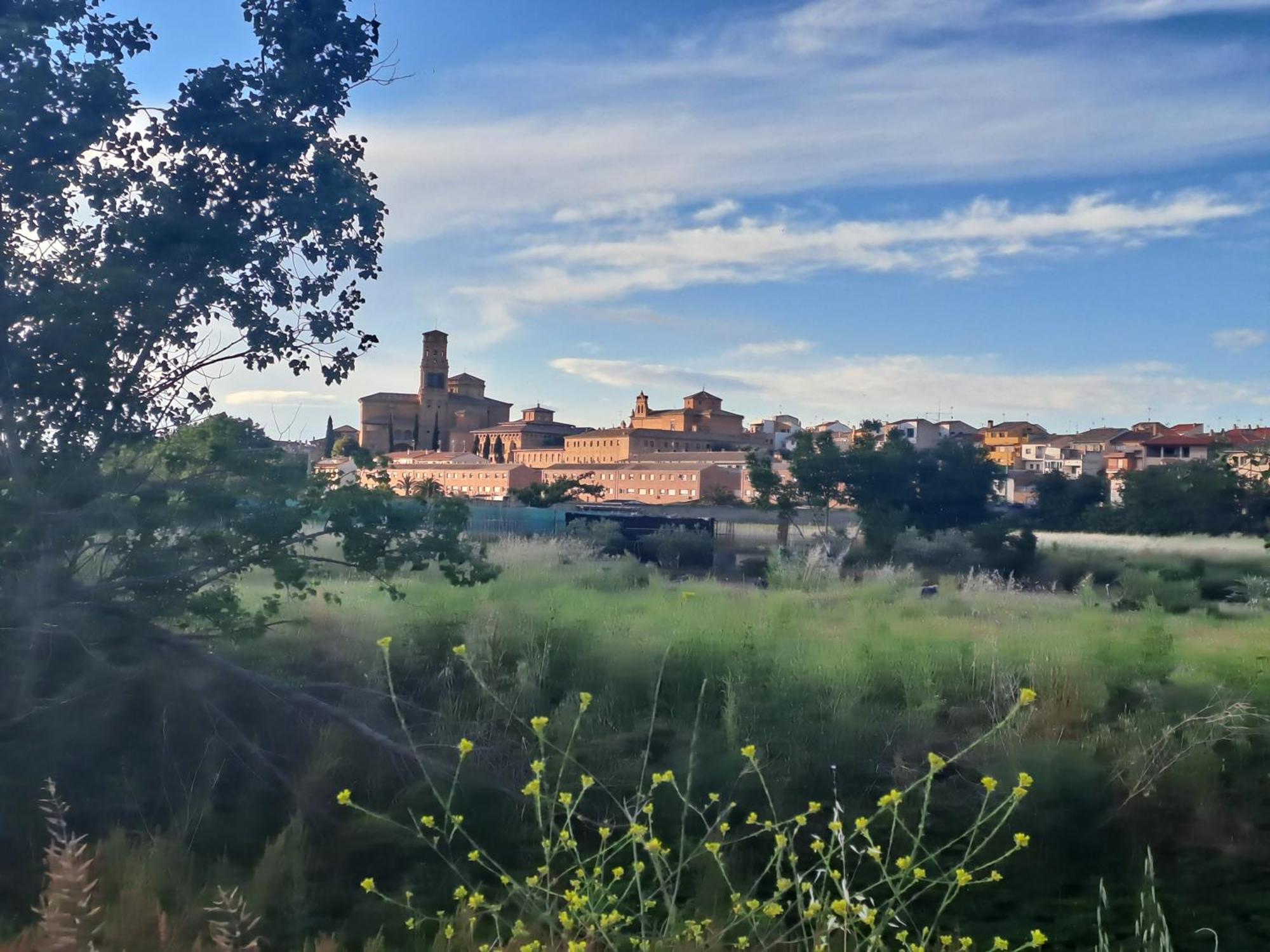Apartamento Rural Isla Esencia De Bardenas Navarra Villafranca المظهر الخارجي الصورة